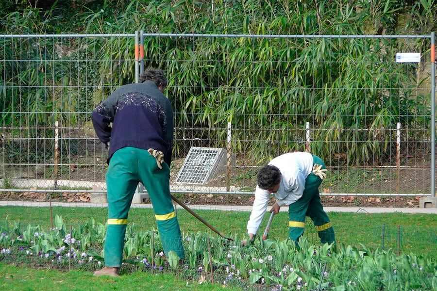 Mantenimiento de Fincas Urbanas